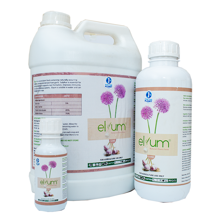 Elyum Range of Botanical Products