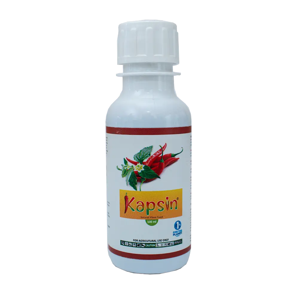 Kapsin 100ml Bottle Pack