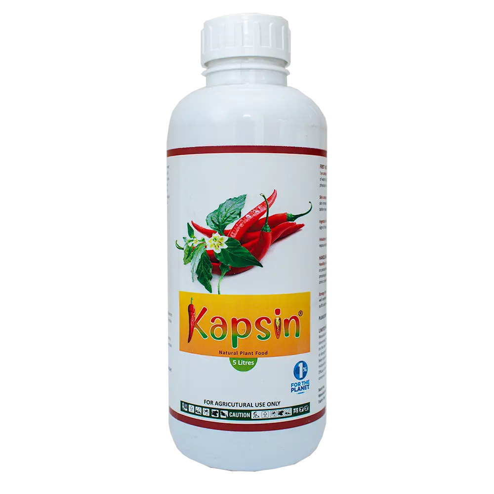 Kapsin 1 Litre Pack