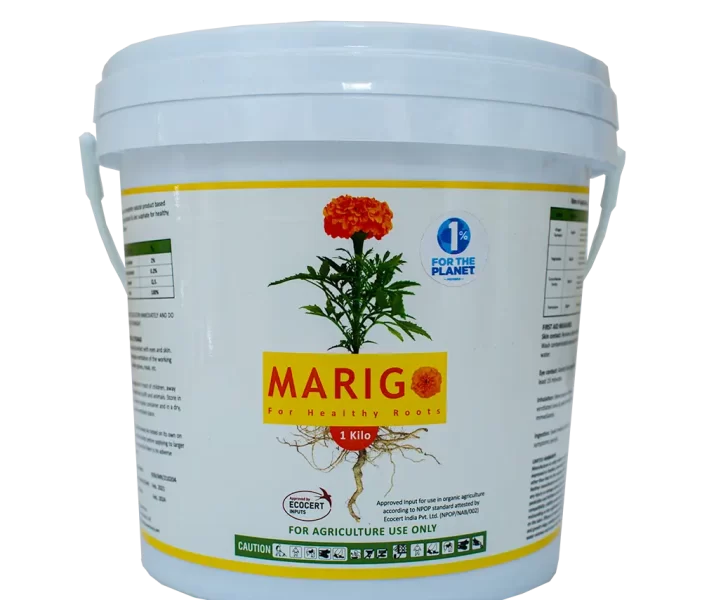 Marigo-1Kg-Front