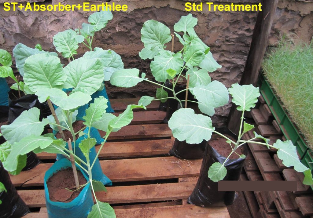 Comparison of Vegetables treated with standard treatment with those treated with Earthlee and Absorber