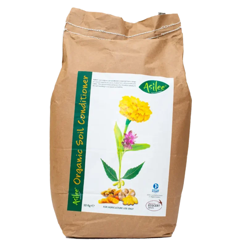 Asilee 10 Kg Pack